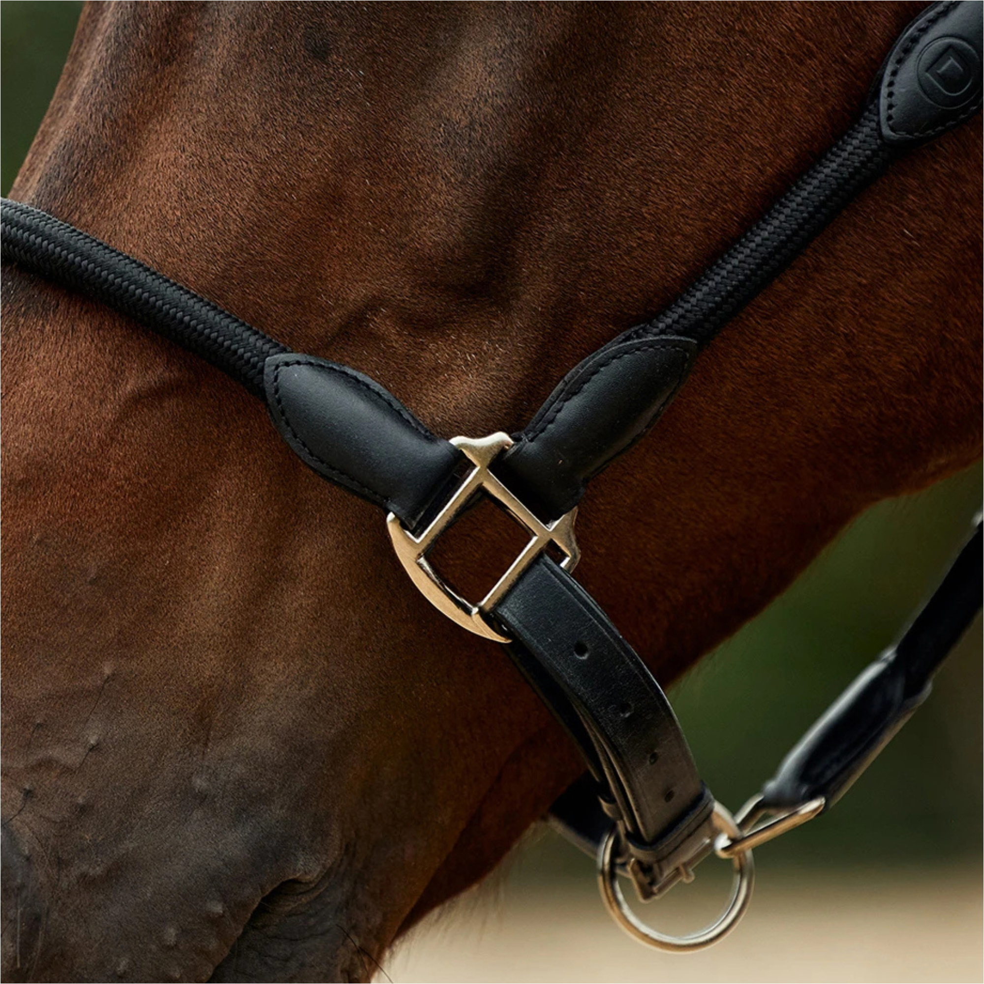 2026 Dublin Leather Rope Headcollar 1031533 - Black / Black